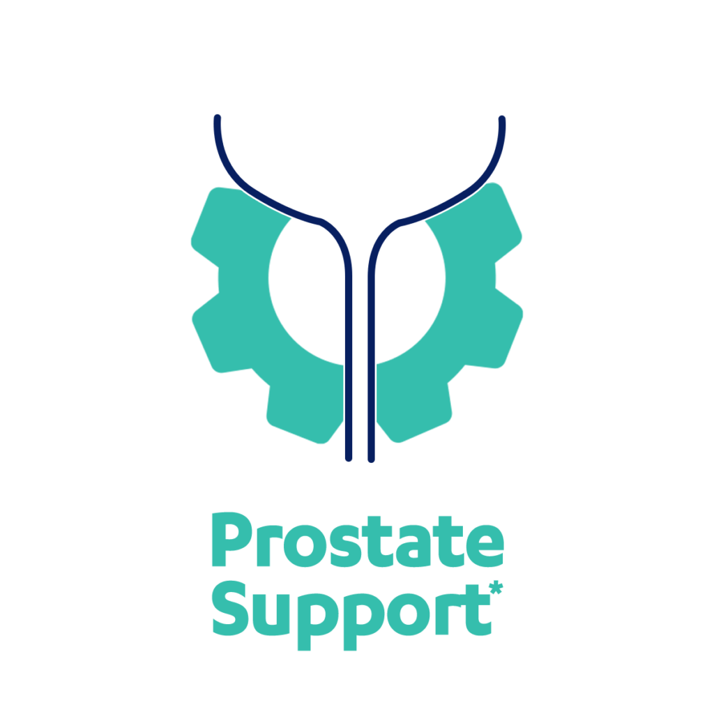 Prostate support icon