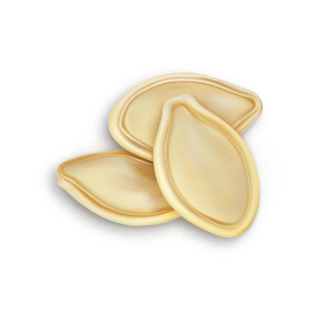 pumpkin seeds