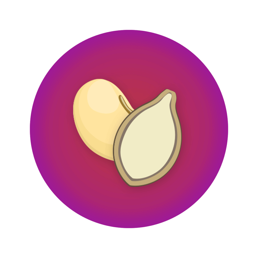 two pumpkin seed icon