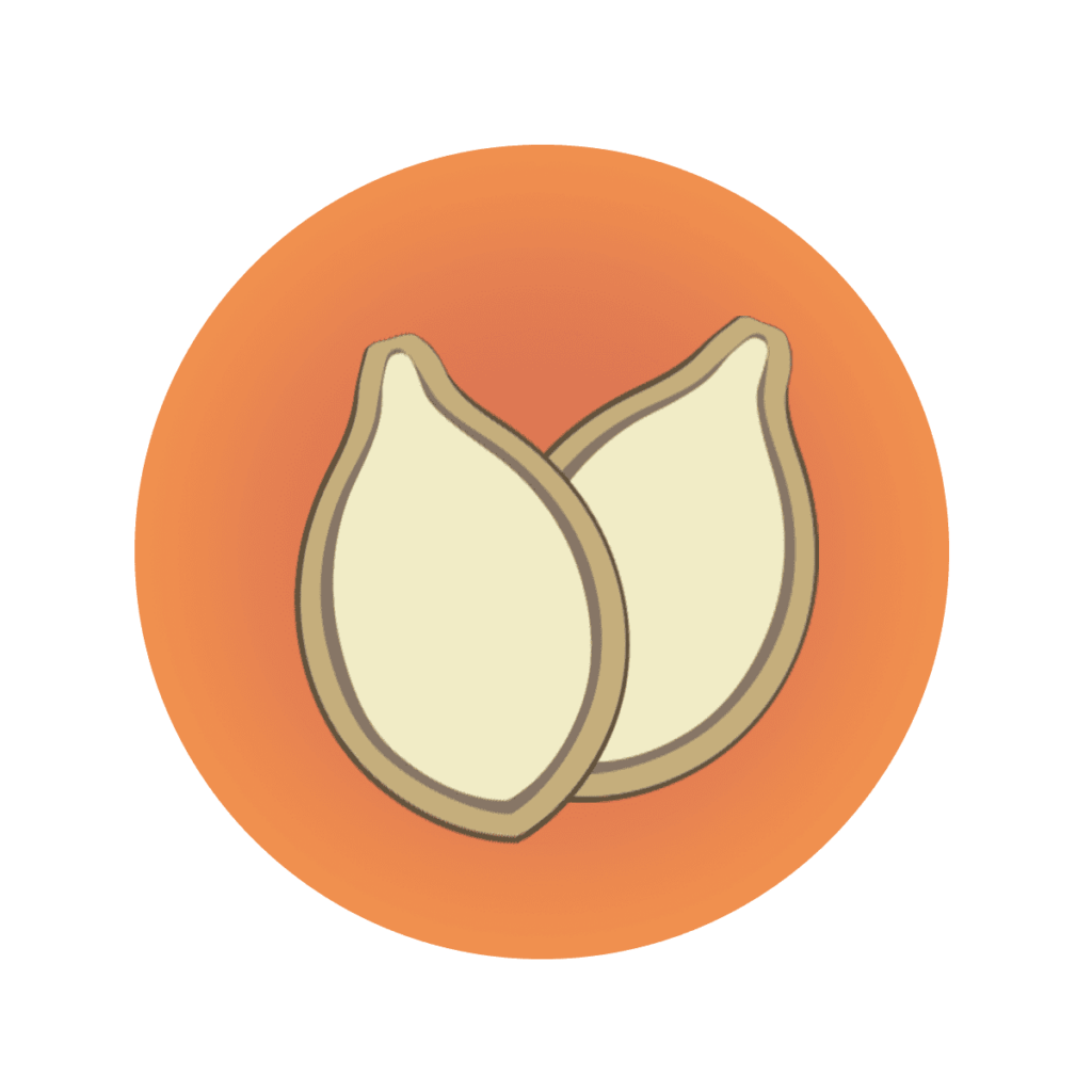 pumpkin seed icon